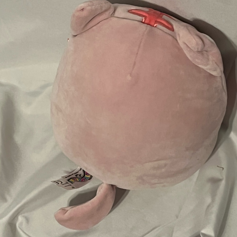 Squishmallows 8" Paulita Pink Cat 2021 Plush Kellytoy Toy Easter Tabby - Picture 5 of 8
